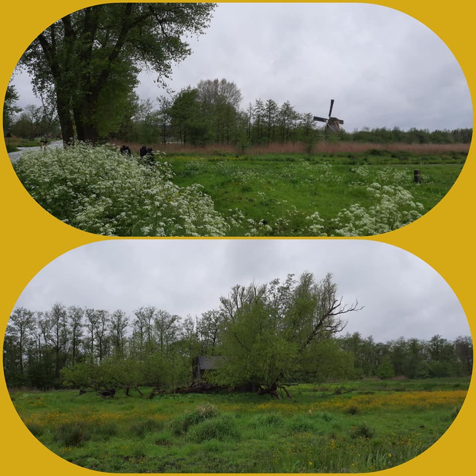 Westerborkpad 3e etappe