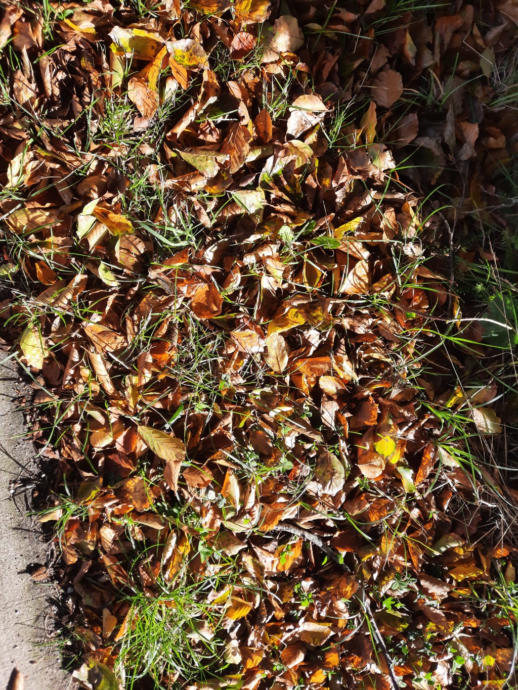 Westerborkpad 7e etappe