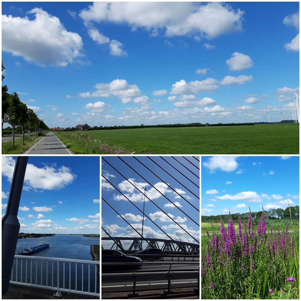 Dat gaat naar Den Bosch&nbsp;toe…