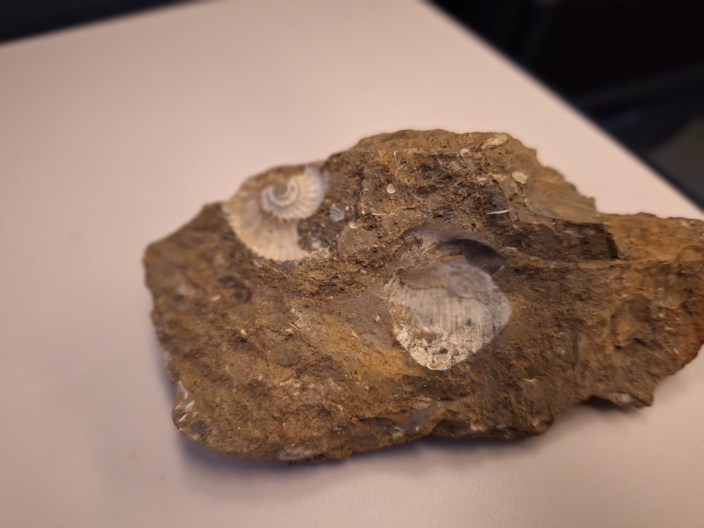 Zwart – goud – grauw –&nbsp;kleur