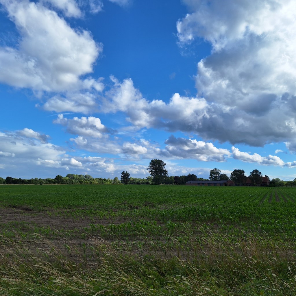 Nederlands landschap