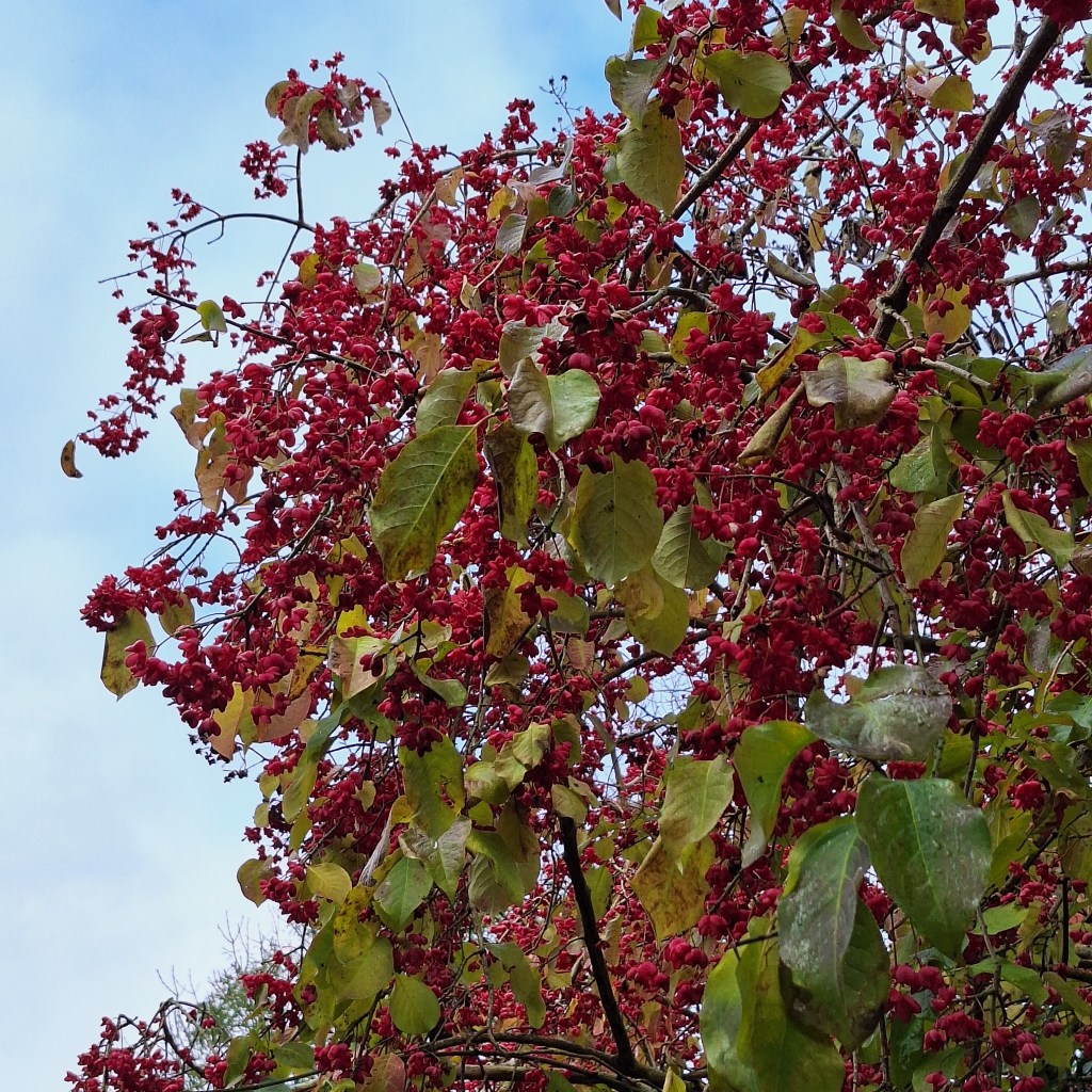 The middle of&nbsp;nowhere