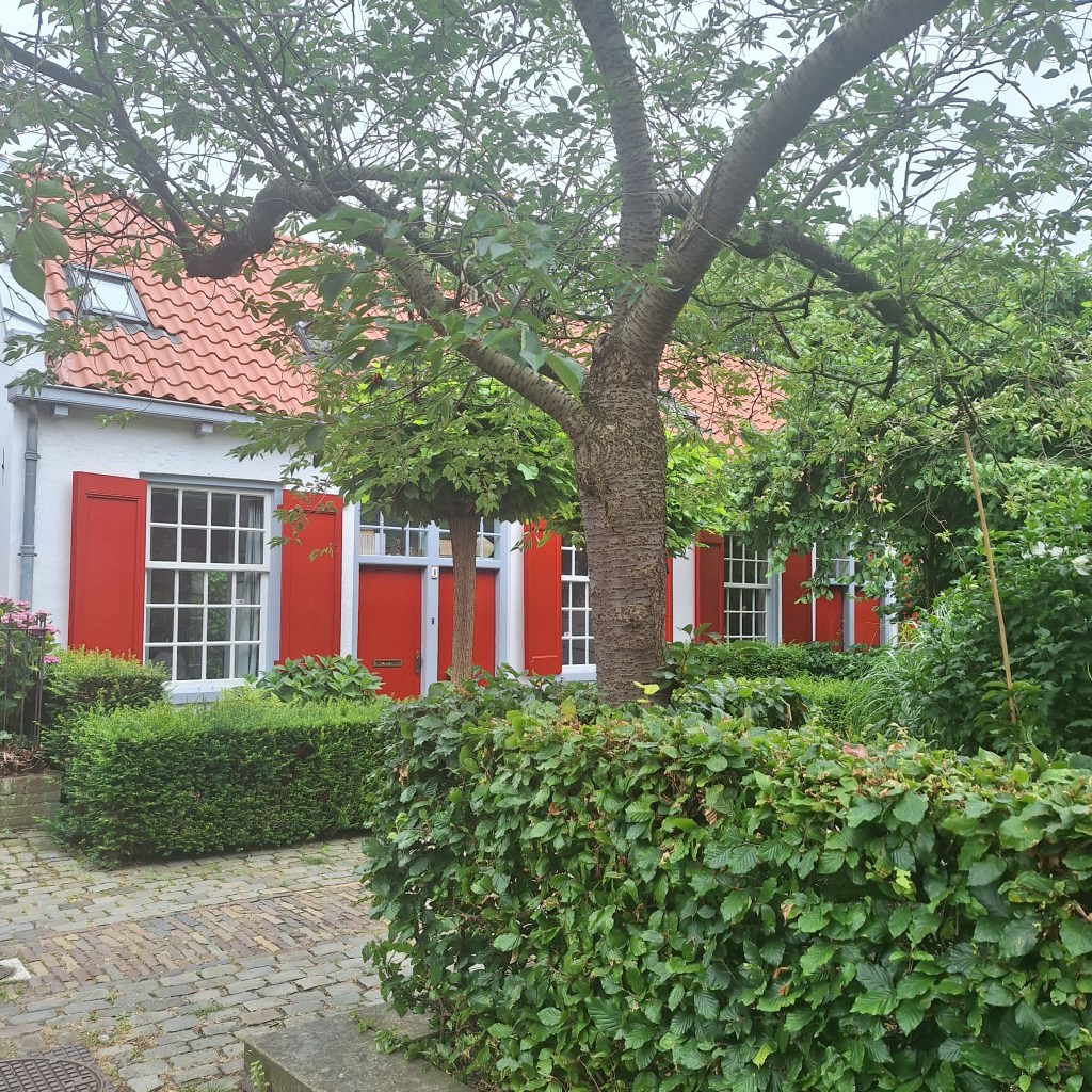Rare dag